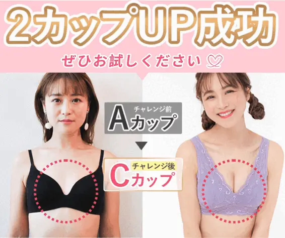 豊胸薬